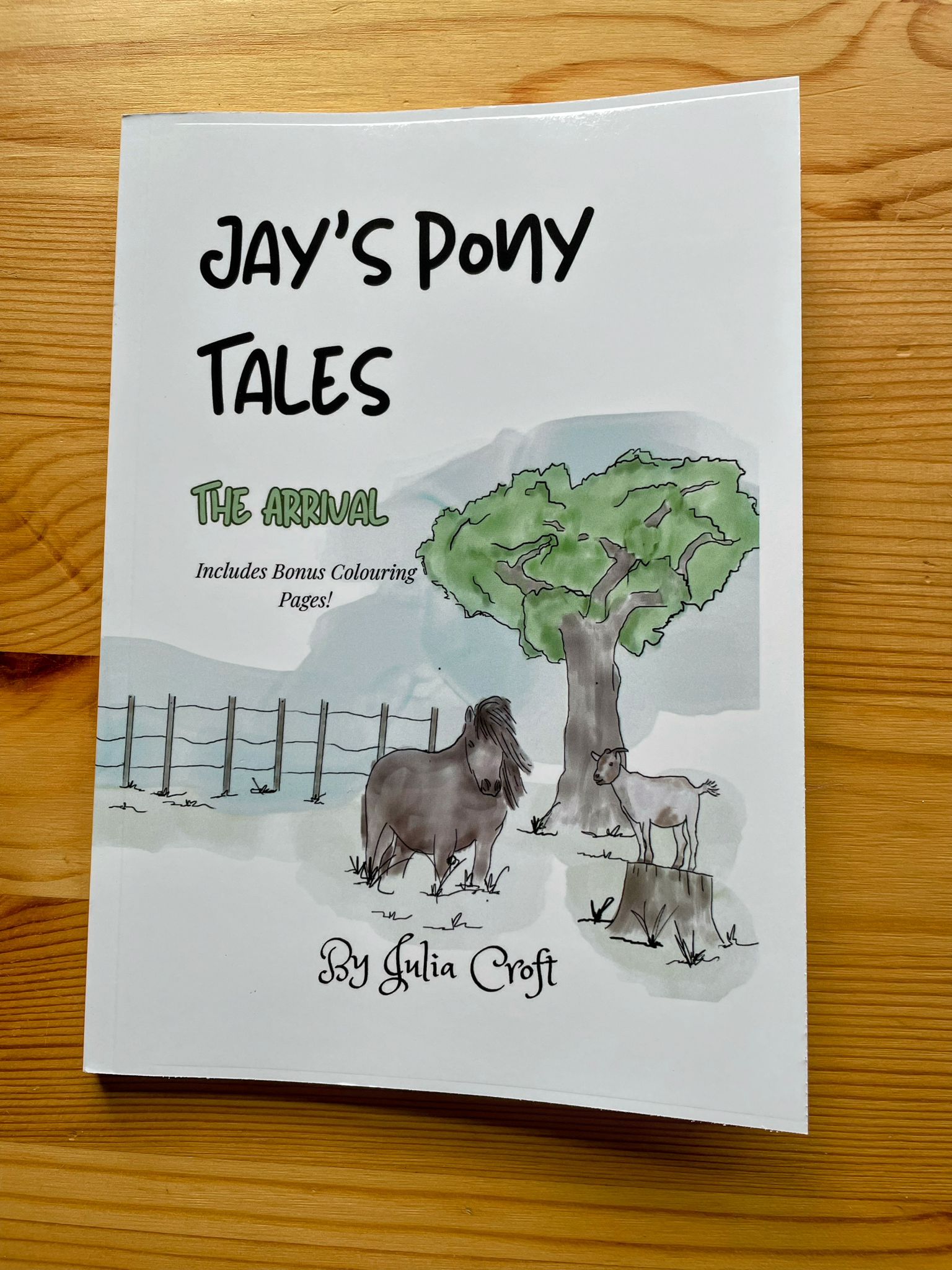 Jay's Pony Tales: The Arrival - Storybook